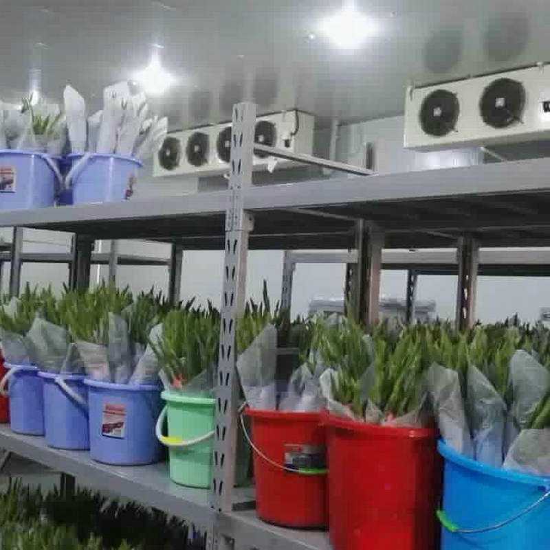 儲(chǔ)存鮮花冷庫原理