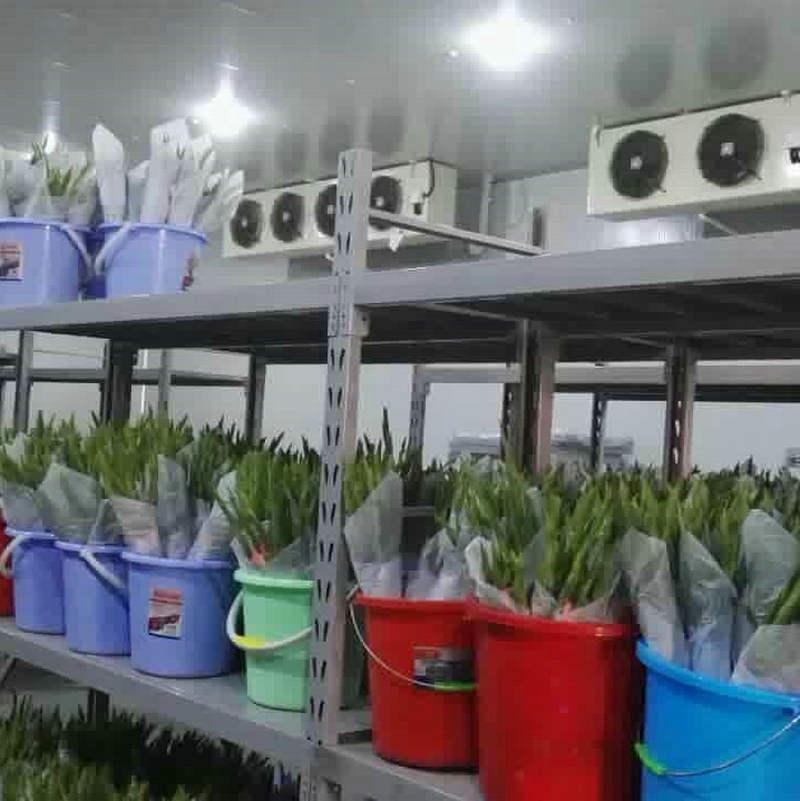 冷庫(kù)斷電后能夠很快回溫的原因