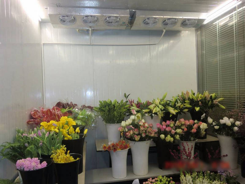 鮮花冷庫(kù)怎樣保鮮鮮花？是用風(fēng)冷還是直冷？