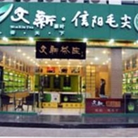 文新信陽(yáng)毛尖